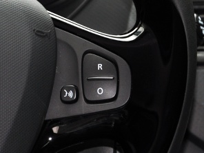 實(shí)拍雷諾卡繽