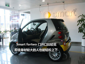 2010smart fortwo 