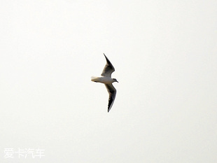 長安歐尚北戴河之行