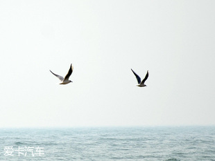 長安歐尚北戴河之行