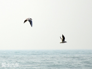 長安歐尚北戴河之行