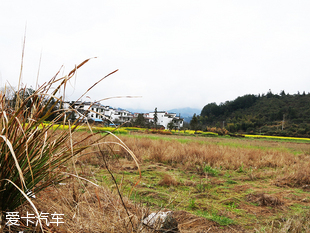 花田邂逅遠(yuǎn)景SUV