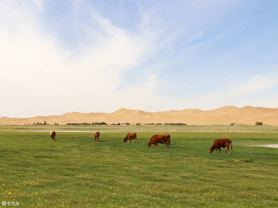 奇駿勇闖沙漠無人區