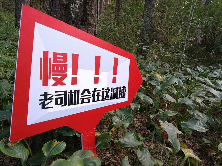 東風日產騏達三項挑戰賽