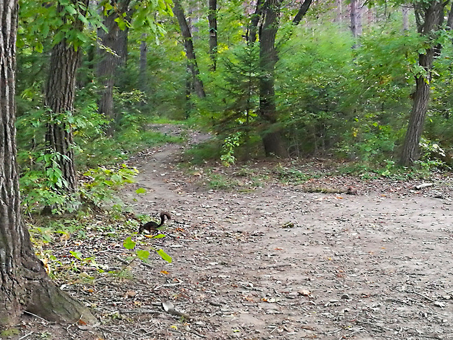 東風日產騏達三項挑戰賽