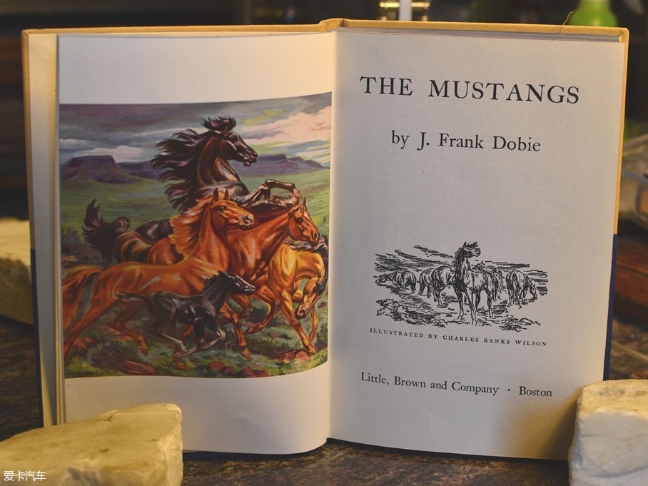 һ˼˵ǣطֲгоRobert J. Eggert˽ԱһJ. Frank DobieġThe MustangsΪEggertMustangڳҲ߲顣