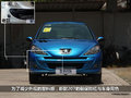 2011��207������Ҫϸ��
