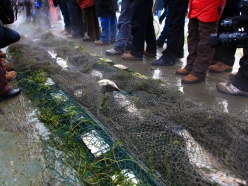 一汽-大众 2012款迈腾