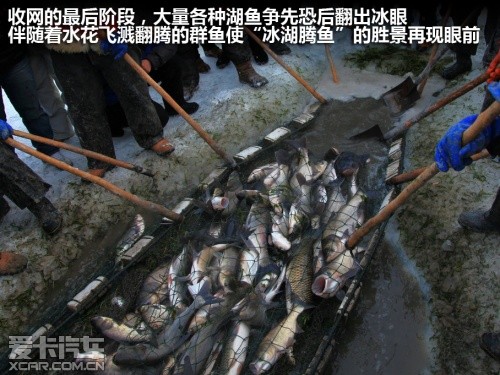 一汽-大众 2012款迈腾