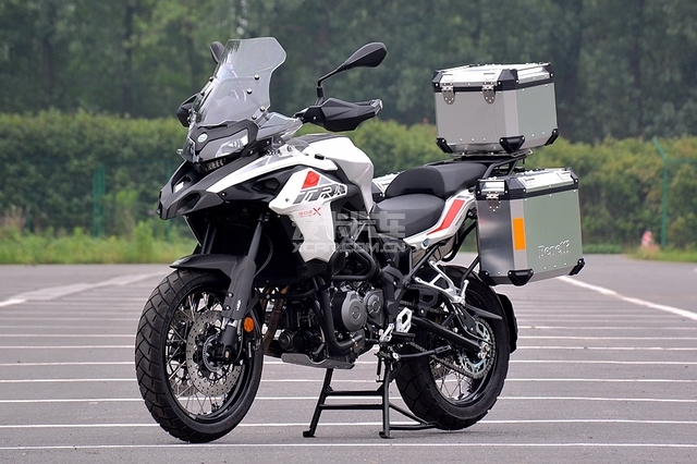 贝纳利小幼狮图片