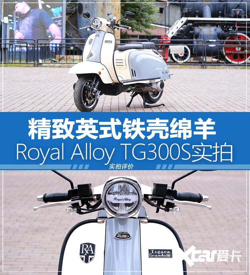 Royal Alloy TG300S