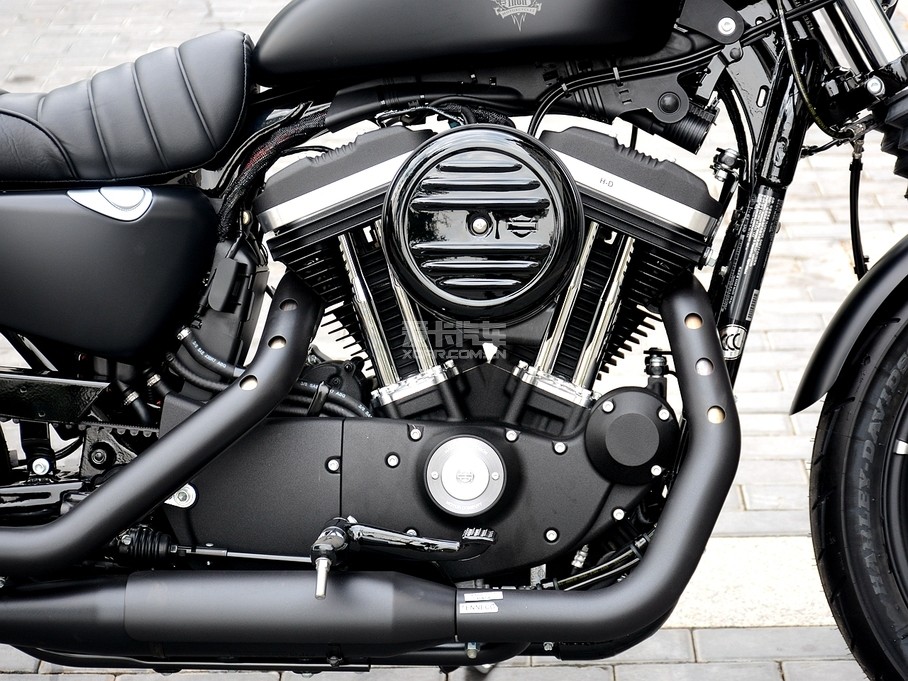 ;״άɭ;Harley-Davidson:IRON 883;883Ӳ