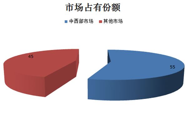 深度观察 换个角度看不一样的成都车展