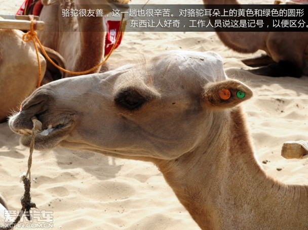 广汽三菱;敦煌行