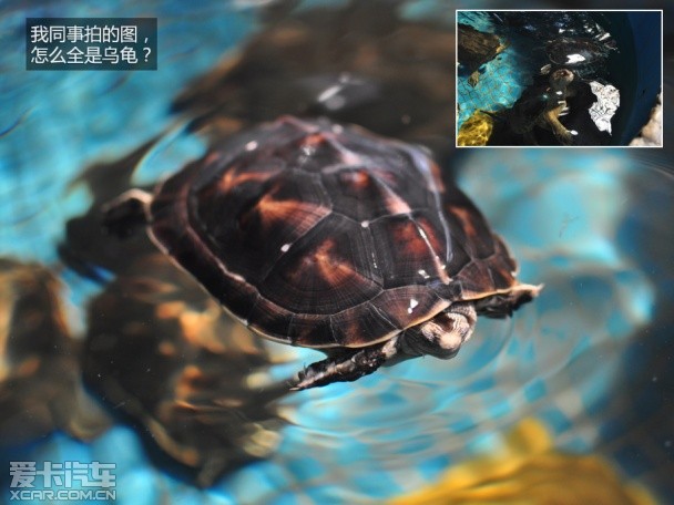 上海大众斯柯达2015款明锐
