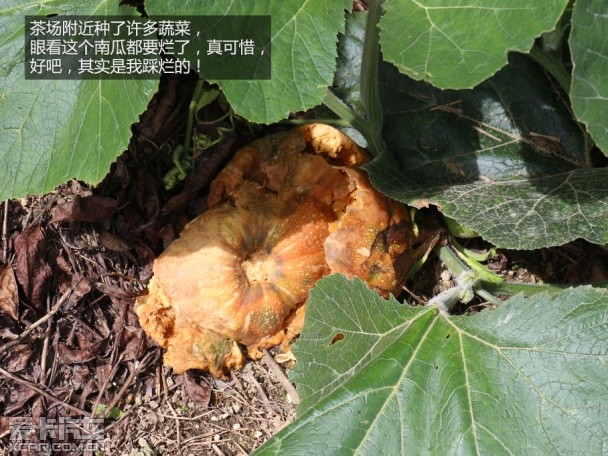 上海大众斯柯达2015款明锐