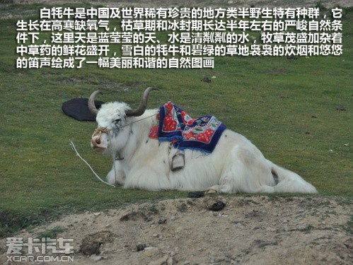 爱卡旅行社青海甘肃行