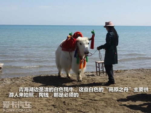 爱卡旅行社青海甘肃行