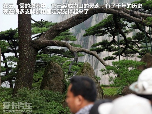 华夏文明探访之旅 爱卡旅行社黄山之行