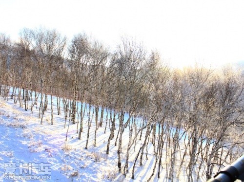 冬季滑雪 带你感受冰天雪地的畅快淋漓