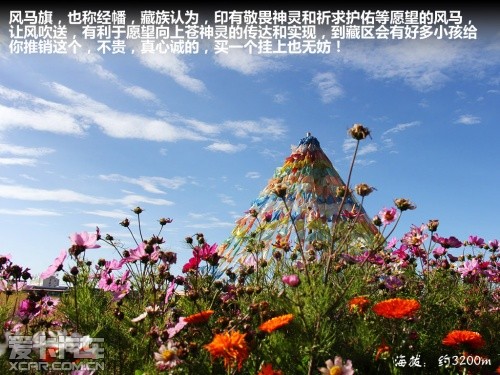 青藏行