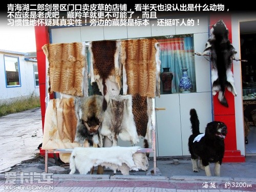 青藏行
