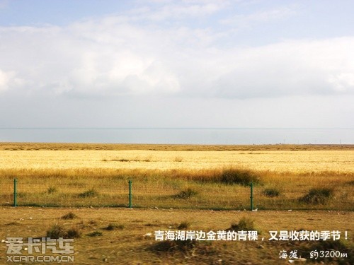 青藏行