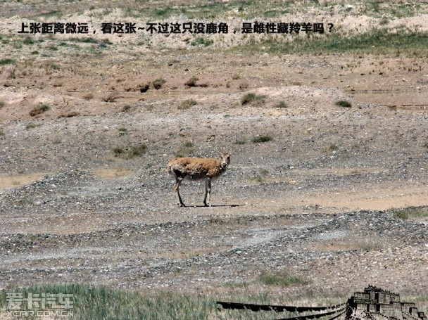 探访离天最近的地方 爱卡旅行社青藏行