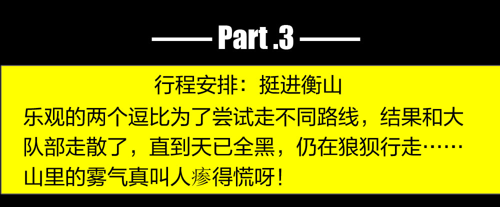 飞歌科视衡山联盟