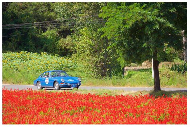 ʱЯ1966ıʱ911 2.01998911 Carrera࣬쵽żҿٵ壬ڻɽ´˵һεѲ