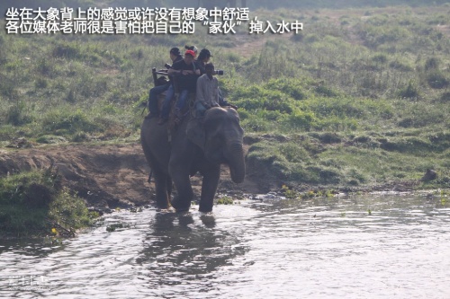 永源A380