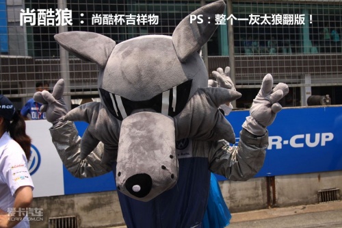 尚酷R杯