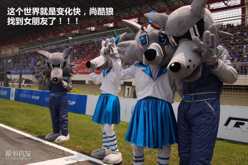 尚酷R杯
