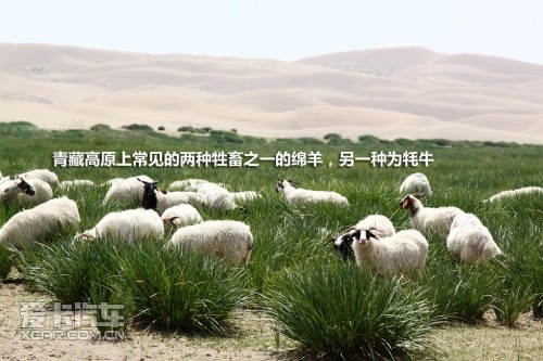 青湖之旅