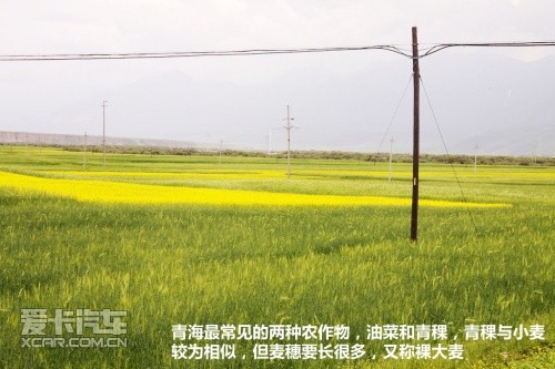青湖之旅