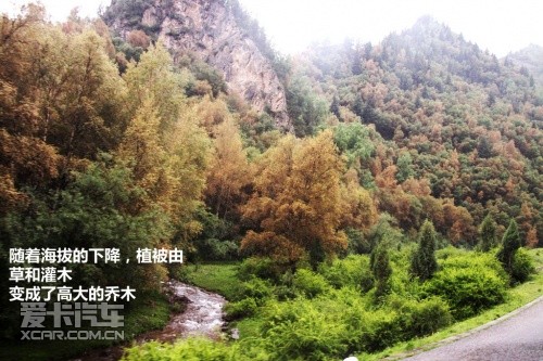 青湖之旅