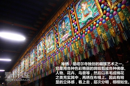 青湖之旅