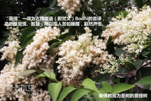 青湖之旅