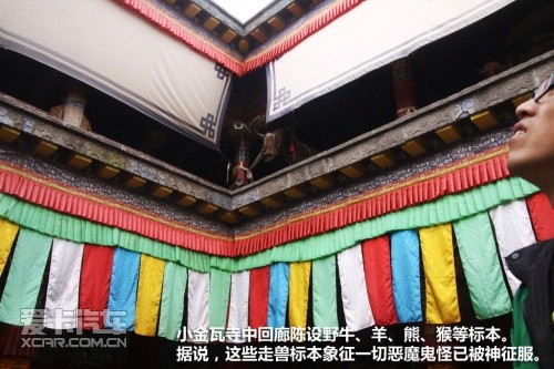 青湖之旅