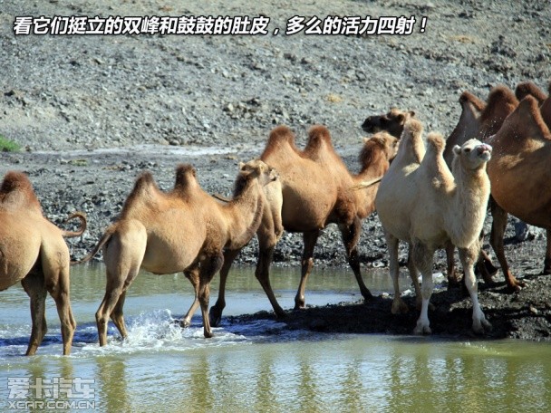 欧蓝德国门之旅