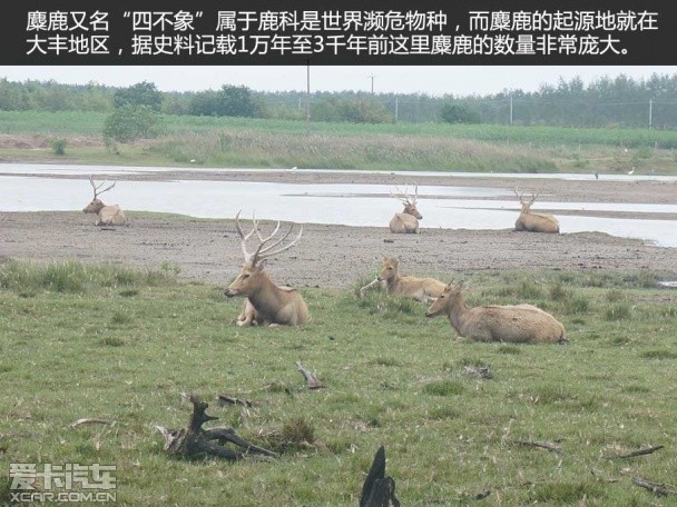 斯巴鲁31座森林星之旅