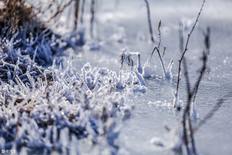塞罕坝玩雪