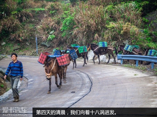 凯美瑞江浙