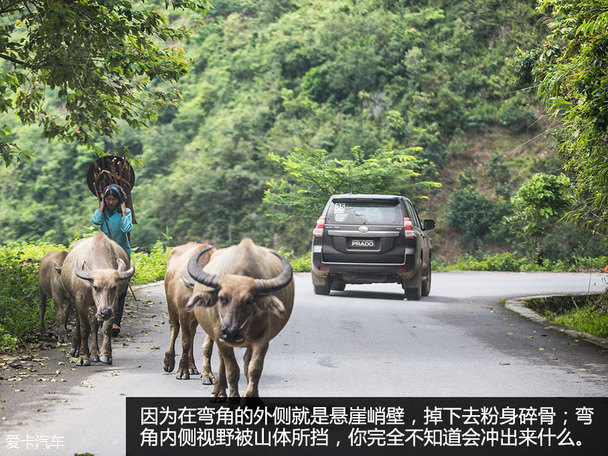 寻路天下 普拉多的云贵之旅