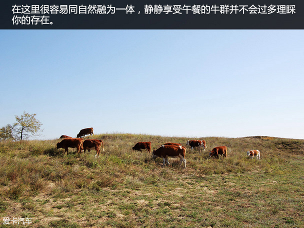 大切诺基，内蒙游记