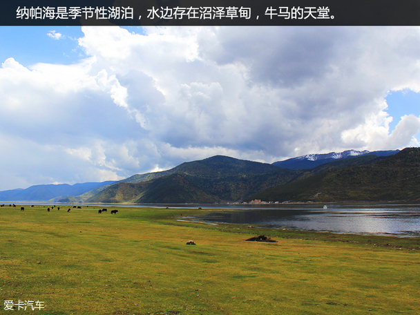 斯巴鲁;香格里拉;傲虎;SUV;旅行