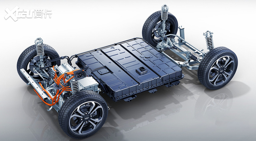 實(shí)拍小螞蟻20萬蟻粉款