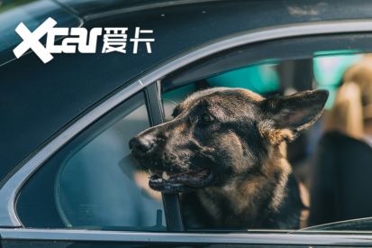 欧洲改装车聚会