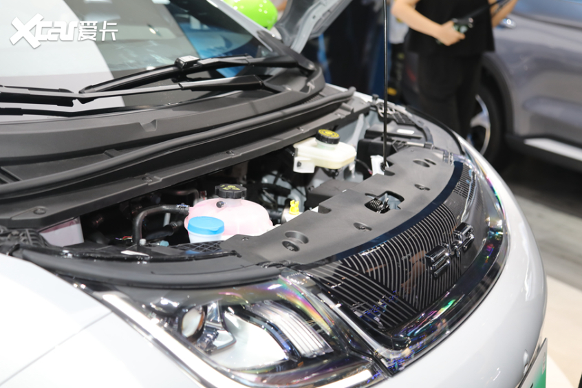 實拍比亞迪海豚