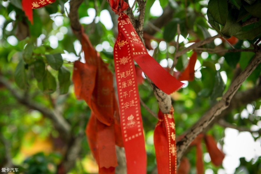 自从工作以来,每次去寺院祈福,我的首要愿望都是健康平安,希望父母